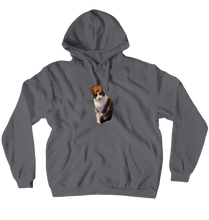 Sous Judging Hoodie No-Zip Pullover