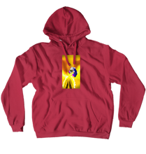 starphoenix2938 Hoodies (No-Zip/Pullover)