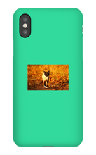 Aidan Rockel-Bigus iPhone Phone Cases