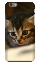pamplemousse2stv iPhone Phone Cases