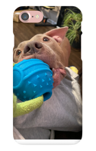 doggoasmr iPhone Phone Cases
