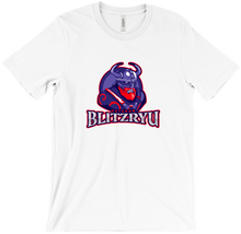 blitzryu-8672 T-Shirts