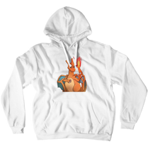 Charizard Hoodies (No-Zip/Pullover)