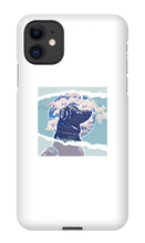 omicorax iPhone Phone Cases