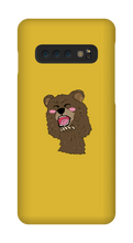 BEAR CASE