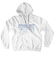 nightwing_51919 Hoodies (No-Zip/Pullover)