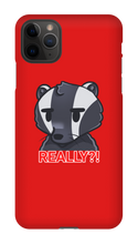 REALLY?! iPhone Case