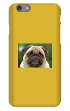highestworm45429 iPhone Phone Cases
