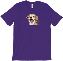 dafurryb T-Shirts
