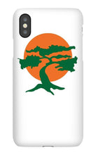 hudzo1sccool iPhone Phone Cases