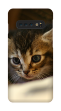 pamplemousse2stv Samsung Phone Cases
