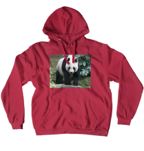 buckeyegamer10 Hoodies (No-Zip/Pullover)