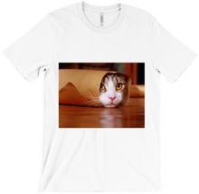 Funny Taco Cat T-Shirt