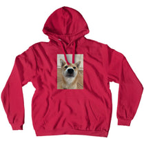 Hoshiko´s Hoodie