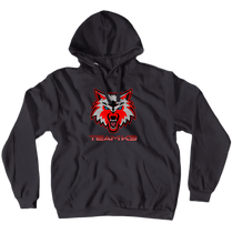 Hoodies (No-Zip/Pullover)