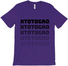 xTotogro T-Shirts (text)