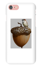 birds_and_squirrels iPhone Phone Cases