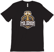 moldarion T-Shirts