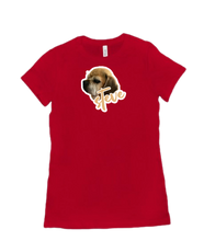 amorosoviolin Women’s T-shirt