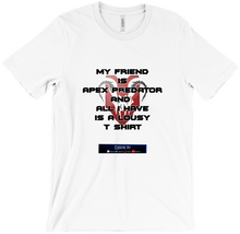 All I got is Lousy T-Shirts