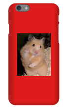 blackfire765655 iPhone Phone Cases