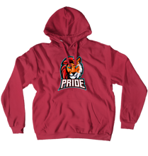 The Pride Hoodies (No-Zip/Pullover)