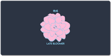 Late Bloomer Collection - XXL Gaming Mousepad