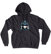 ILoveYou3000Theories Hoodies (No-Zip/Pullover)