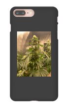 Hard On iPhone Case