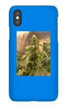 Hard On iPhone Case