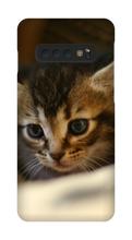 pamplemousse2stv Samsung Phone Cases