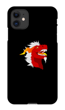 chaosdtv1 iPhone Phone Cases