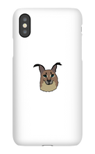 richer_rain iPhone Phone Cases