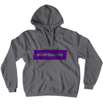 NGUPikachu Hoodies (No-Zip/Pullover)