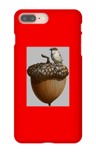 birds_and_squirrels iPhone Phone Cases