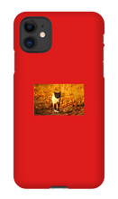 Aidan Rockel-Bigus iPhone Phone Cases