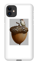 birds_and_squirrels iPhone Phone Cases