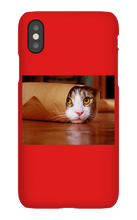 Funny Taco Cat Iphone Case