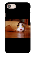 Funny Taco Cat Iphone Case