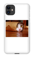 Funny Taco Cat Iphone Case