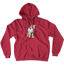 dreaambasketball Hoodies (No-Zip/Pullover)