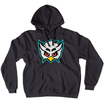 Hoodies (No-Zip/Pullover)