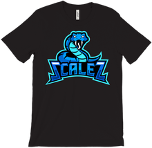 scaleztv T-Shirts