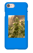 Hard On iPhone Case