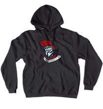 Centurion Networks Hoodies (No-Zip/Pullover)