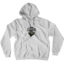 manic_mystic Hoodies (No-Zip/Pullover)