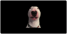 Walter XXL Gaming Mousepad