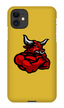 Carcasa iPhone RuSNaKuL (Diverse Modele )