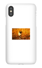 Aidan Rockel-Bigus iPhone Phone Cases