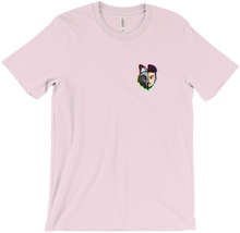 RaidenXSnow Anime T-Shirts